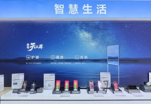 智顯領航 共筑未來——天馬微電子閃耀ICDT 2026國際顯示技術大會